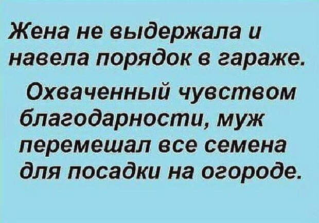 Несколько веселых историй