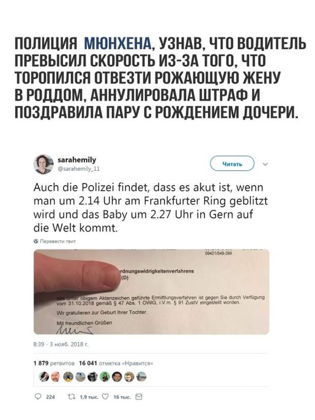 Доброта, которой нам так не хватает в ежедневных новостях Доброта, которой нам так не хватает в ежедневных новостях