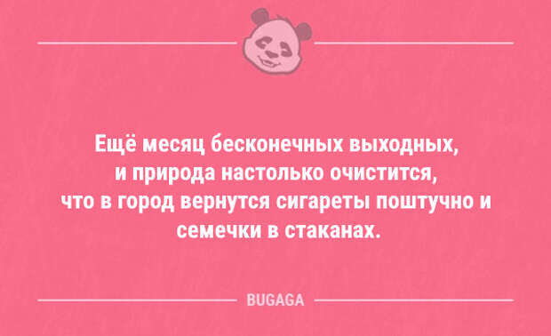 Большой сборник анекдотов (23 шт)