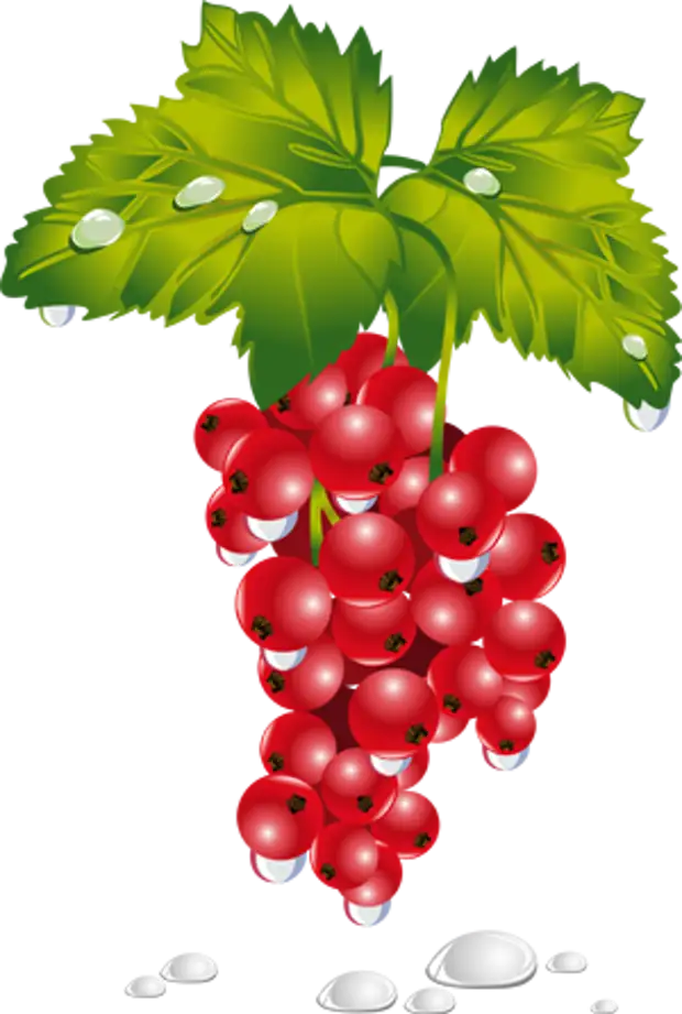 �������� ��������� ��������� �����. ����� 4. ������� ����������.