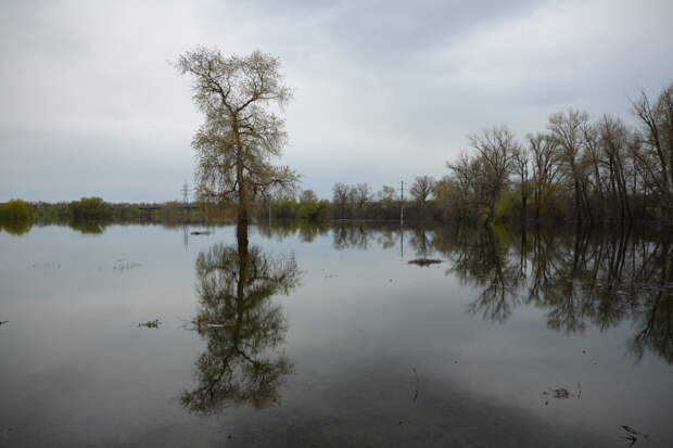 Над Волгой нависла фекальная угроза