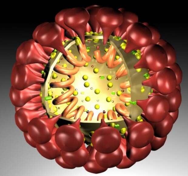 Британские вирусологи рассказали о проблемах вакцинации против вируса COVID-19