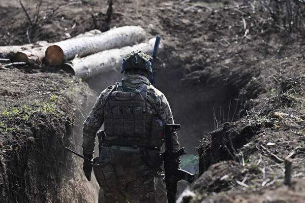 Военкор сделал заявление о перемирии с Украиной