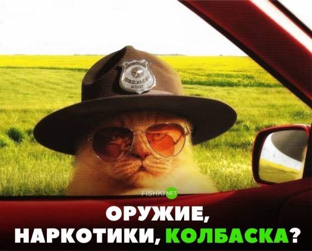 Оружие, наркотики, колбаска? авто, автомобили, автоприкол, автоприколы, подборка, прикол, приколы, юмор
