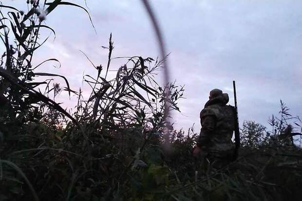 Штраф за нарушение правил охоты в РФ увеличат с 500 до 2 тыс. рублей