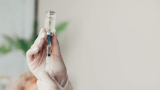 Врач Ларина: перед поездкой в тропики нужна консультация по вакцинации