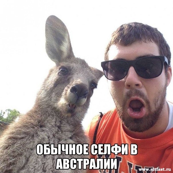 Смешные картинки Смешные картинки