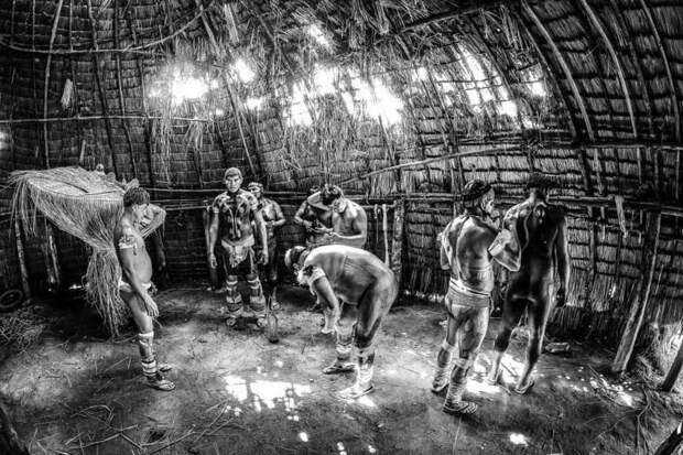Индейцы племени Kalapalo в рамках ритуала готовятся к сражению со своими соперниками из племени Huka-Huka бразилия, в мире, животный мир, люди, племена, природа, туризм