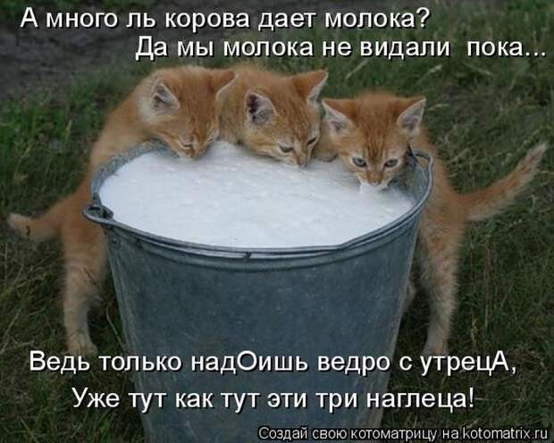 Мысли вслух :)