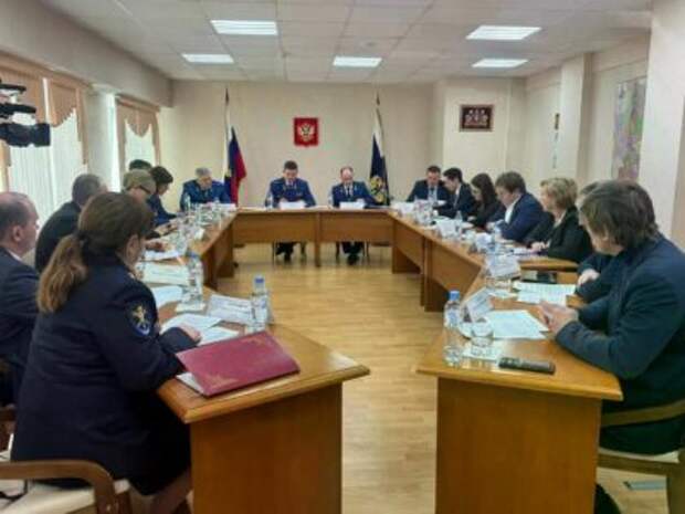 Елена Артюх приняла участие в «круглом столе» под председательством заместителя Генерального прокурора России