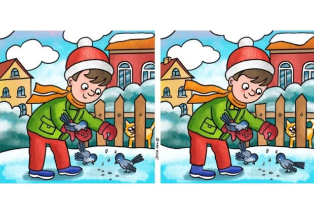 Мальчик, кот и птицы: найдите 11 отличий за 44 секунды