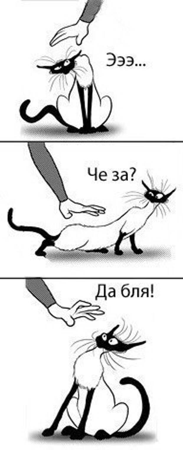 Всяко - разно 6  )))