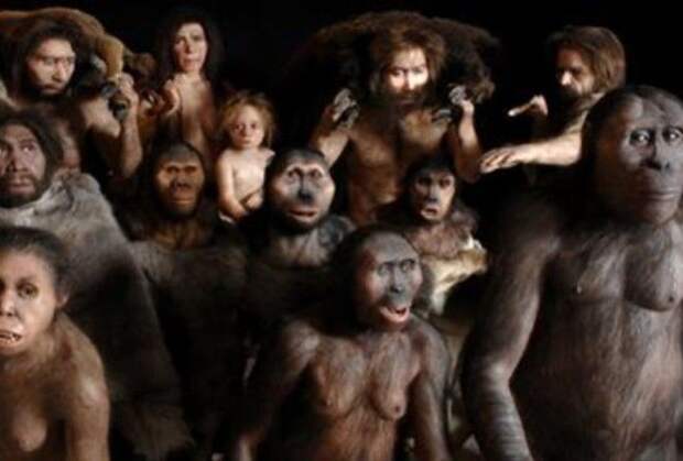 Гоминизация (или очеловечивание) привела к появлению семейства Гоминид и рода Homo.