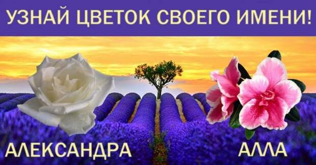 thumb-600x315 (3)