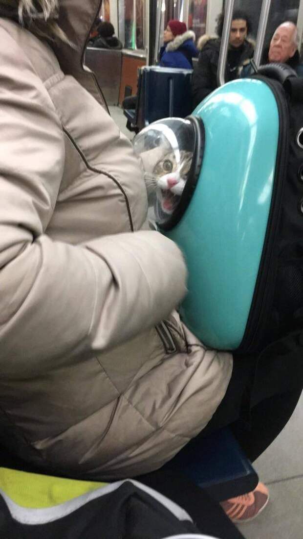 Подборка прикольных картинок