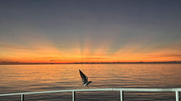 Уровень моря оказался выше предполагаемого
