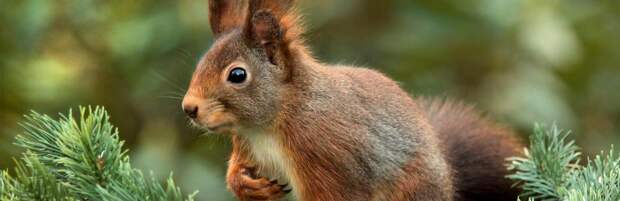 До +14 градусов потеплеет на юге Казахстана