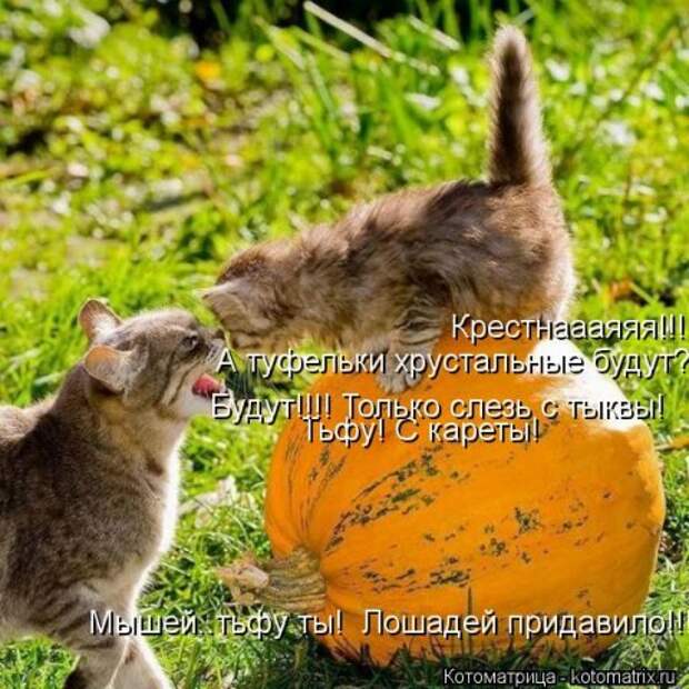 Новые крутые котоматрицы первой недели октября (50 фото) Новые крутые котоматрицы первой недели октября (50 фото)