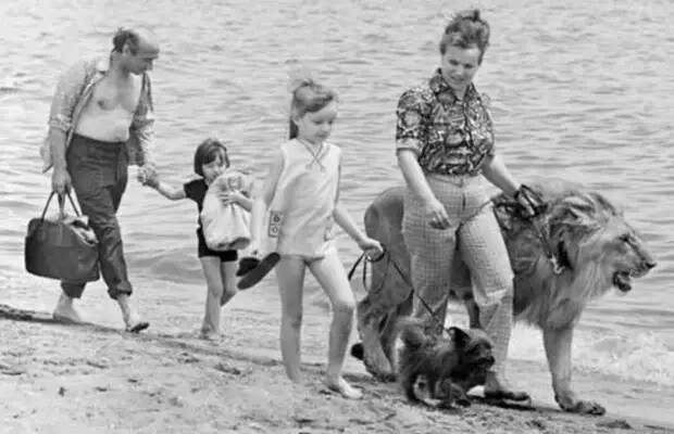 Фотография: Домашние львы Берберовых, или Трагедия, которая не должна была произойти №3 - BigPicture.ru