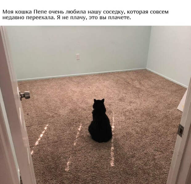 www.vsyako.net
