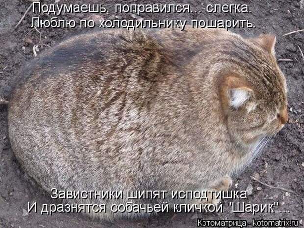 Мысли вслух :) 23 пушистые мыслишки