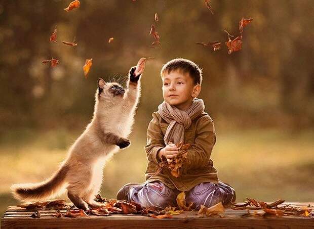 дети и коты, ребёнок и кот, kids with cats