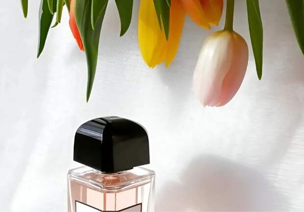 Какие духи выбрать, чтобы пахнуть дорого, но не раздражать других своим шлейфом: деликатные классные