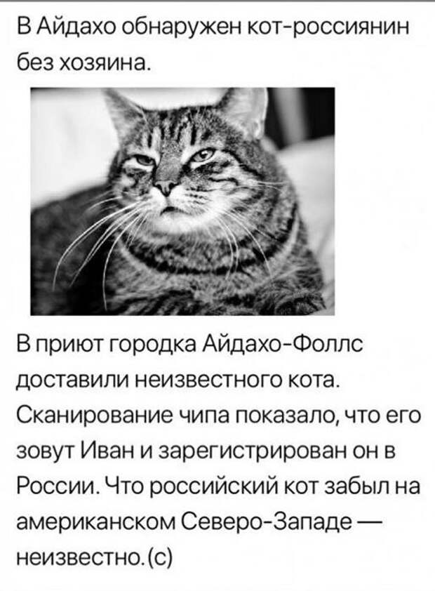 Путешественник Путешественник