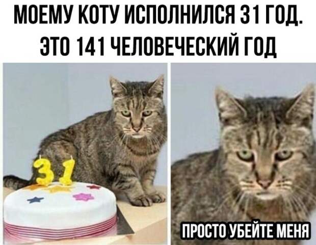 Прикольные картинки абавсём:D