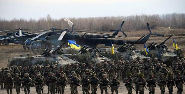 «Боевой ресурс: миллион украинцев уже в составе НАТО» – Шевченко 