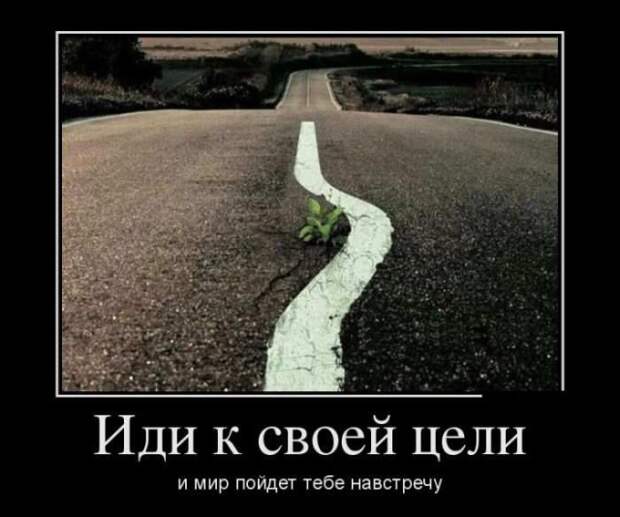 Демотиваторы (30 фото)