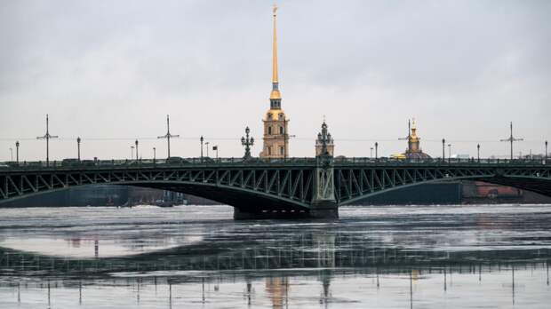 В Петербурге учредили почётное звание для благотворителей