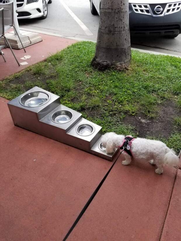 Фотоподборка