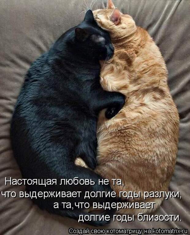 Настоящая любовь не та, что выдерживает долгие годы разлуки, а та,что выдерживает долгие годы близости.
