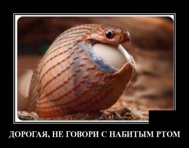 demotivatory-demotivator-smeshnye-demotivatory-demotivator-so-smyslom