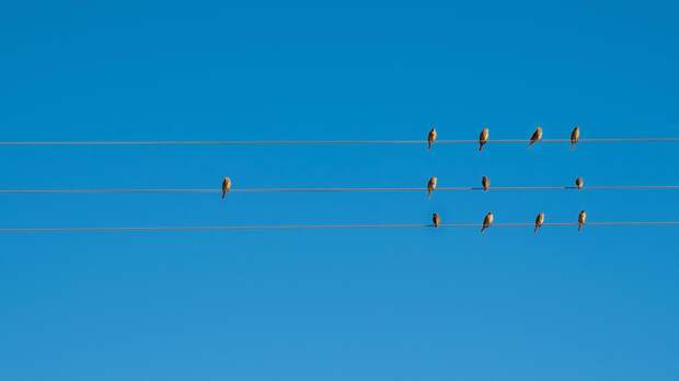 Почему возникает синдром изгоя и как от него избавиться: 6 шагов