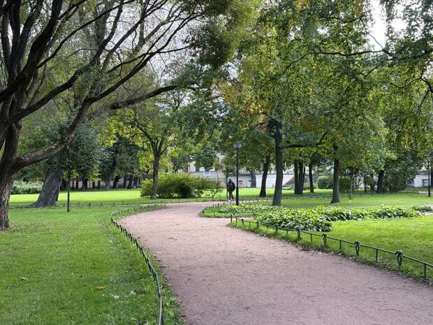 Экологический паспорт Петербурга обновят за 11 млн