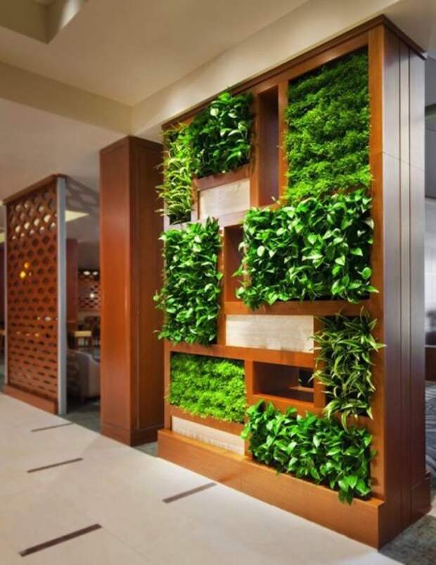 Вертикальное озеленение позволит создать в помещении свежий и благоприятный микроклимат. 