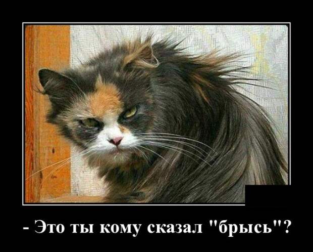 Демотиваторы (30 фото)