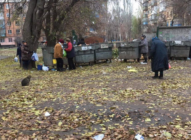 Голодные и злые: страшная реальность Украины, людям устроили голодомор - пенсионеры окучивают мусорные баки