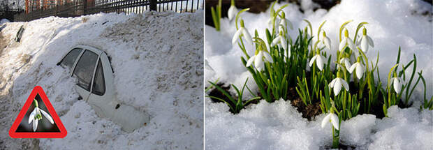 Увеличить Увеличить