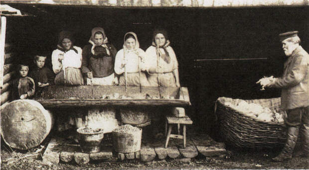 Заготовка капусты на зиму. Россия, 1890-е годы.