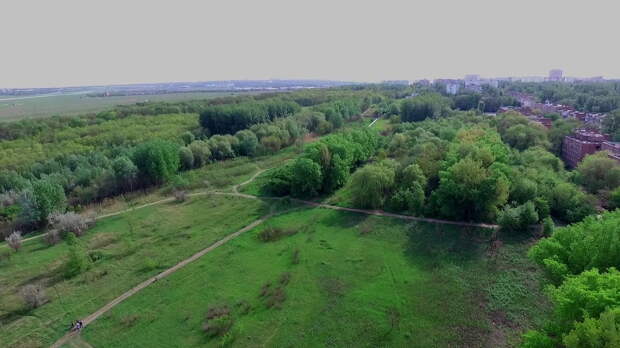 В Ростове суд признал незаконной передачу под строительство двух участков рядом с Александровской рощей
