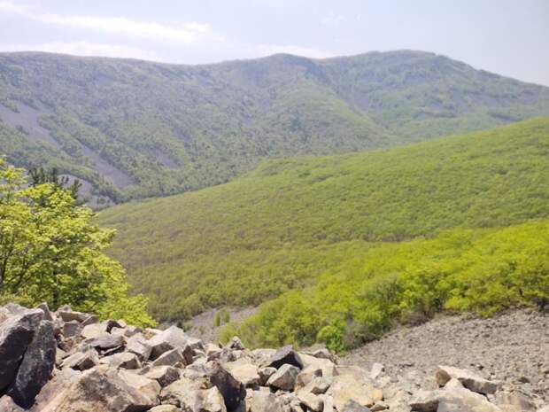 Погода побалует приморцев: синоптики сделали прогноз на майские праздники