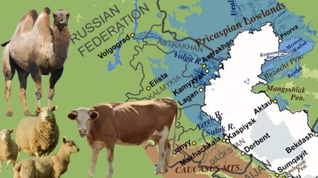 Астраханский маршрут войдет в международный проект под эгидой ООН