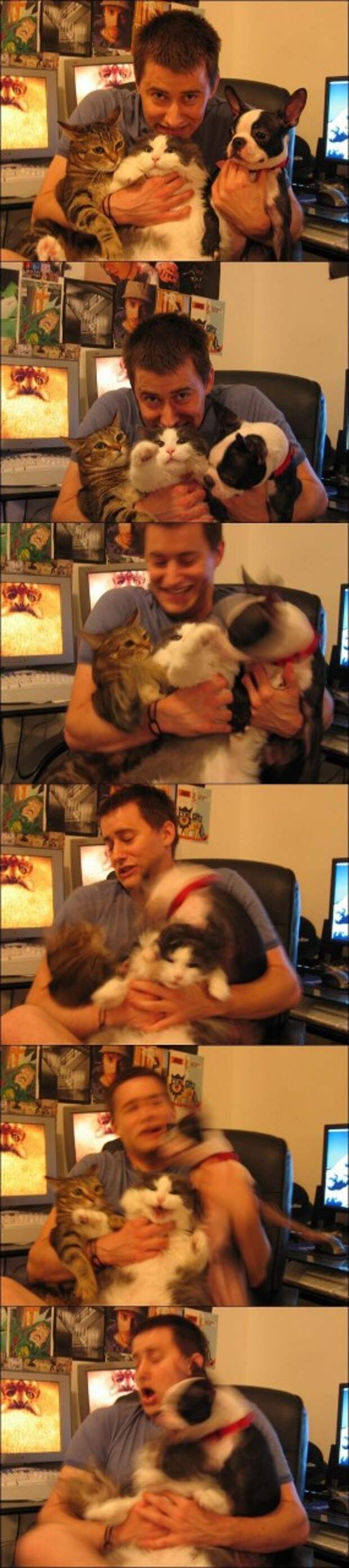 lolcats85 100 лучших фотографий кошек всех времен и народов