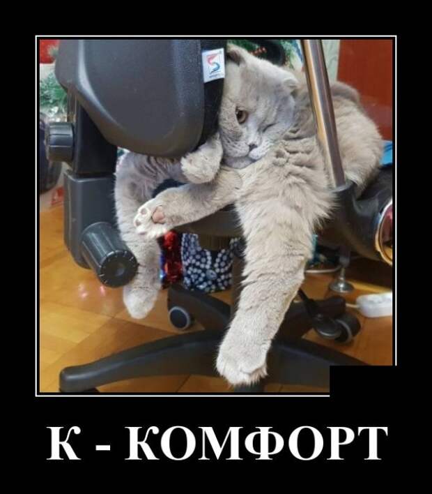 Демотиваторы (30 фото)
