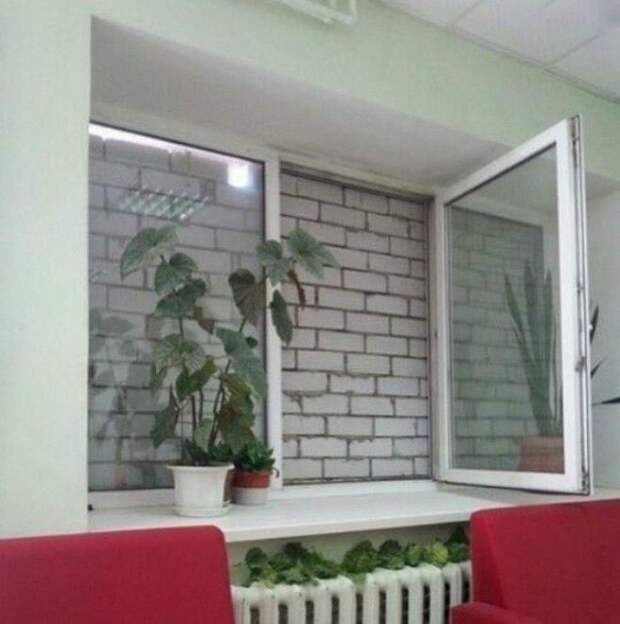Вид из окна. Вид из окна
