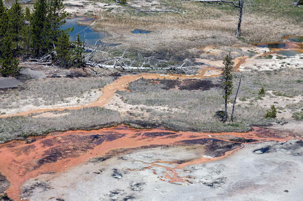 Йеллоустоун (Yellowstone)