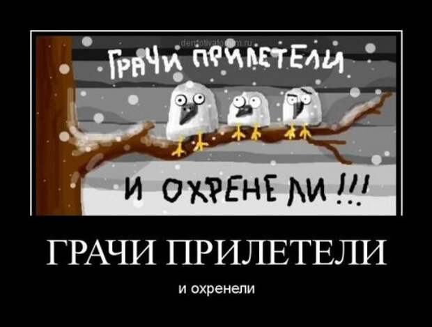 Прикольные демотиваторы (25 шт)